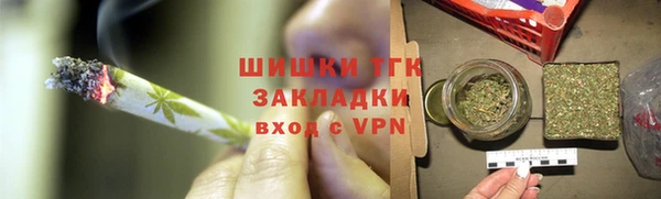 шишки Магас