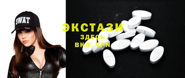 шишки Магас