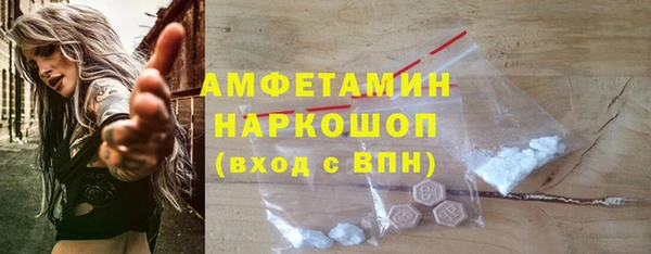 шишки Магас