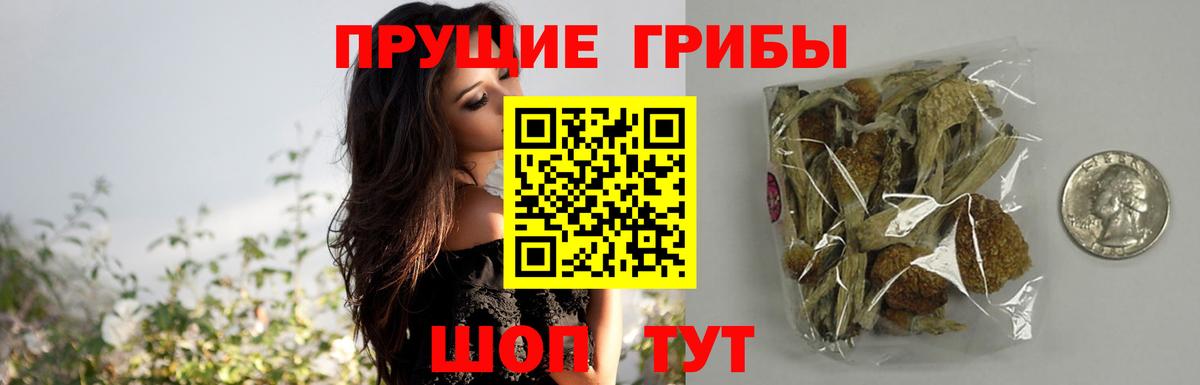 Псилоцибиновые грибы ЛСД Гусь-Хрустальный
